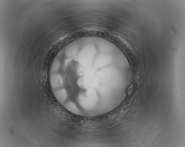 X0000110970821200907101347