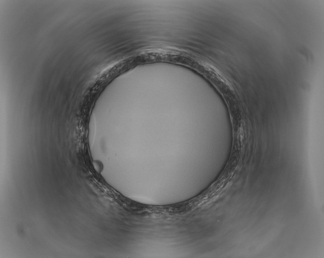 X0000110970822200907101347