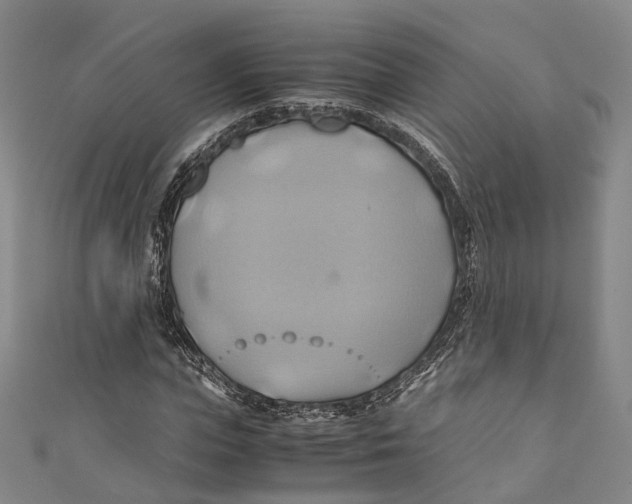 X0000110970823200907101347