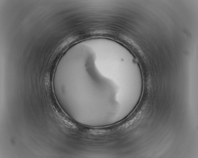 X0000110970825200907101347