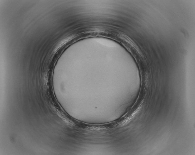 X0000110970826200907101347