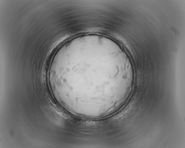 X0000110970827200907101347