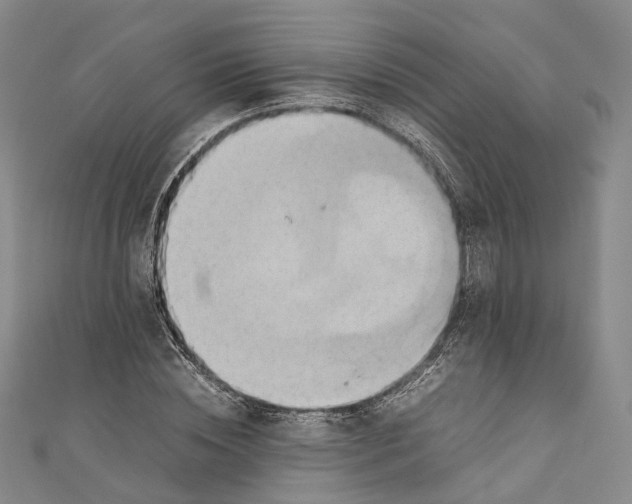 X0000110970828200907101347