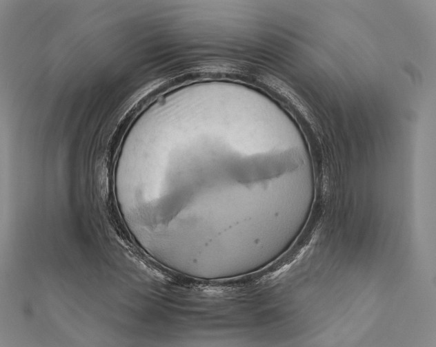 X0000110970829200907101347