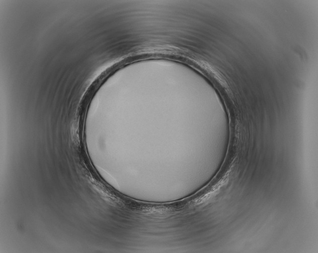 X0000110970830200907101347