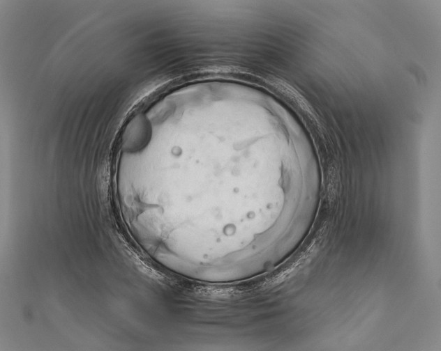 X0000110970831200907101347