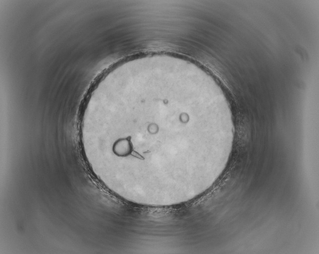 X0000110970832200907101347