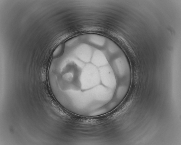 X0000110970833200907101347