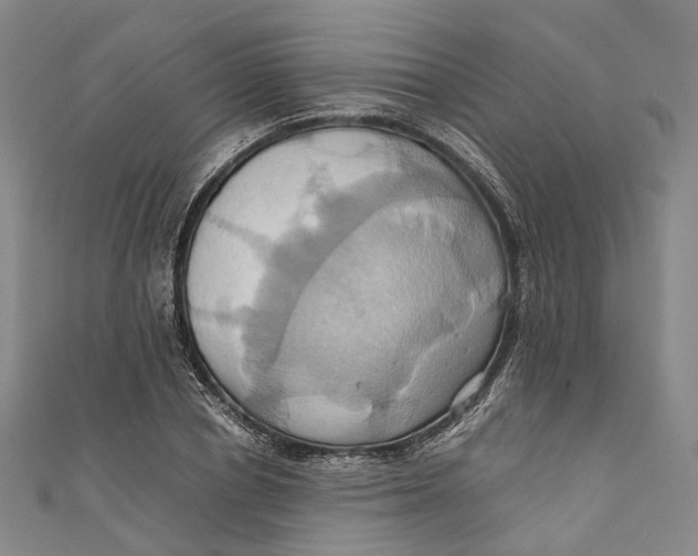 X0000110970834200907101347