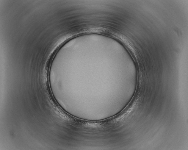 X0000110970835200907101347