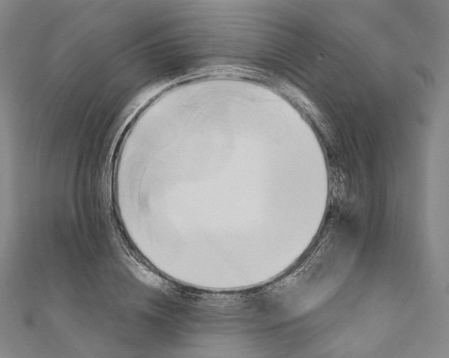 X0000110970836200907101347