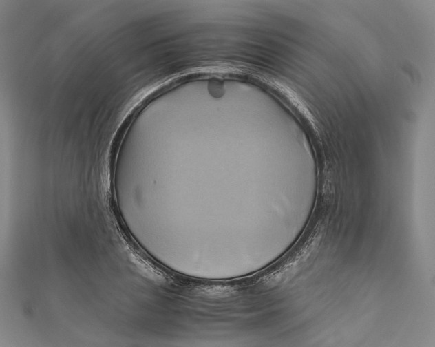 X0000110970837200907101347