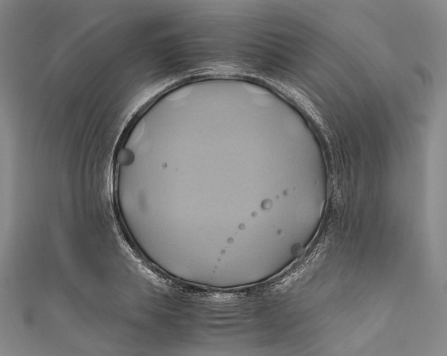 X0000110970839200907101347