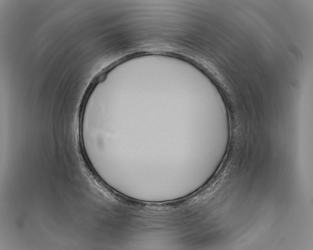 X0000110970840200907101347