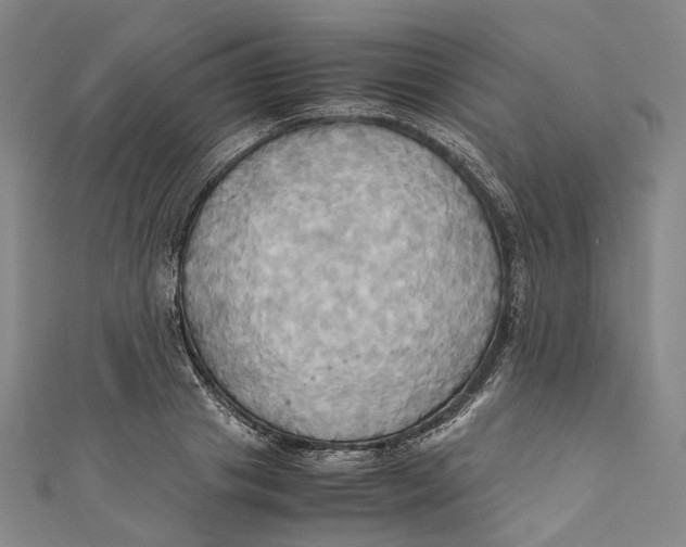 X0000110970841200907101347