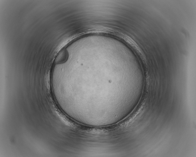 X0000110970842200907101347