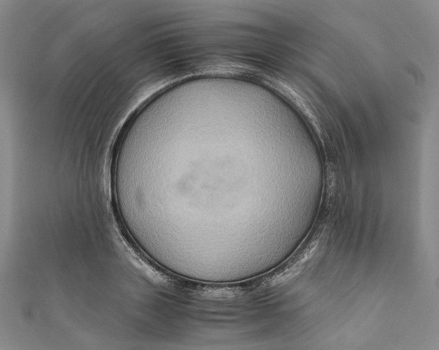 X0000110970843200907101347