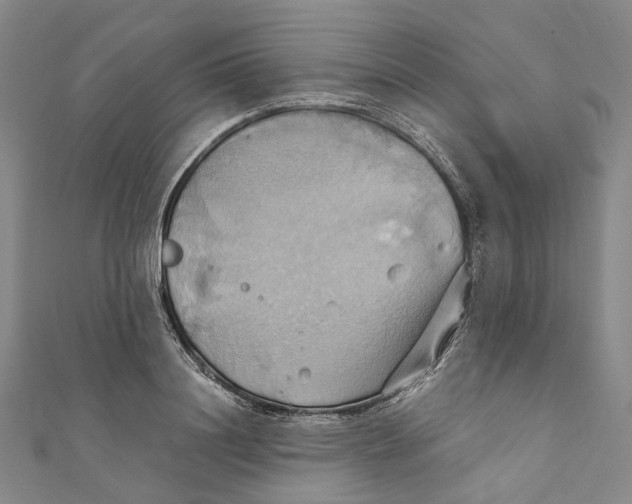 X0000110970844200907101347