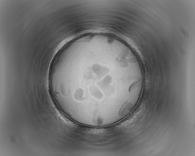 X0000110970845200907101347