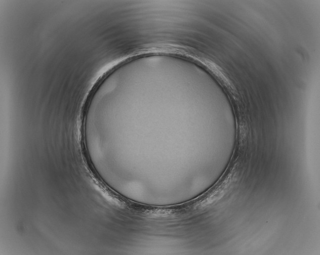 X0000110970846200907101347