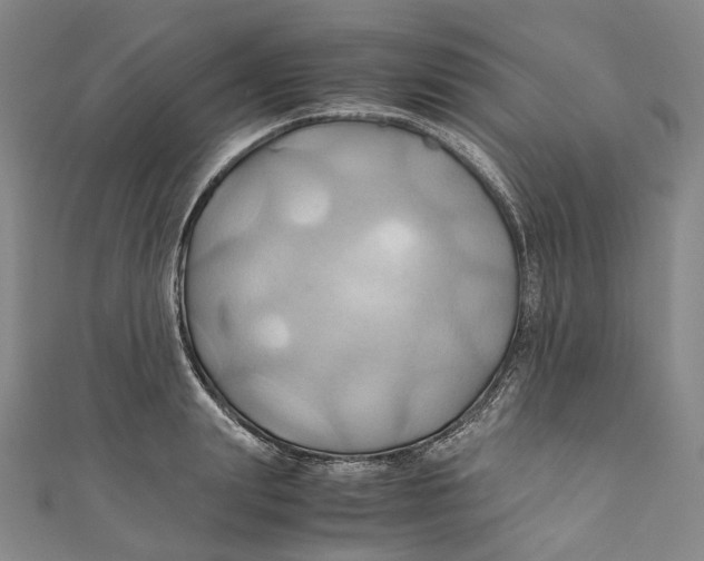 X0000110970847200907101347