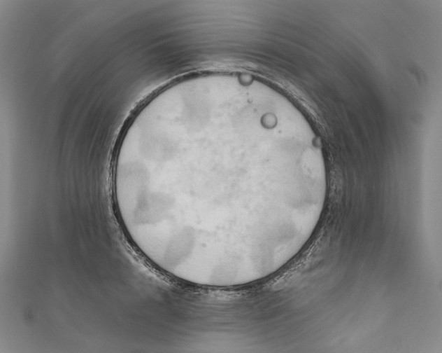 X0000110970848200907101347