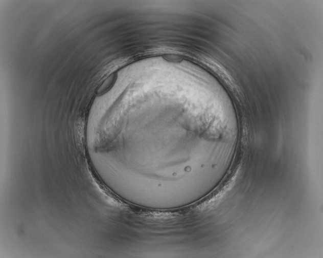 X0000110970849200907101347