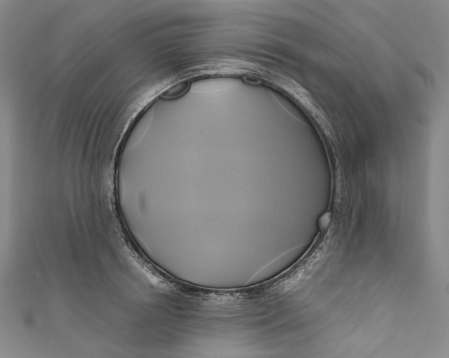 X0000110970850200907101347