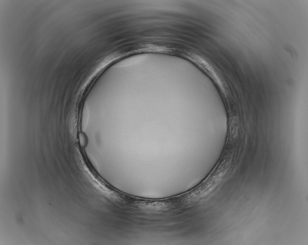 X0000110970851200907101347