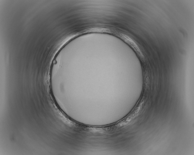 X0000110970852200907101347