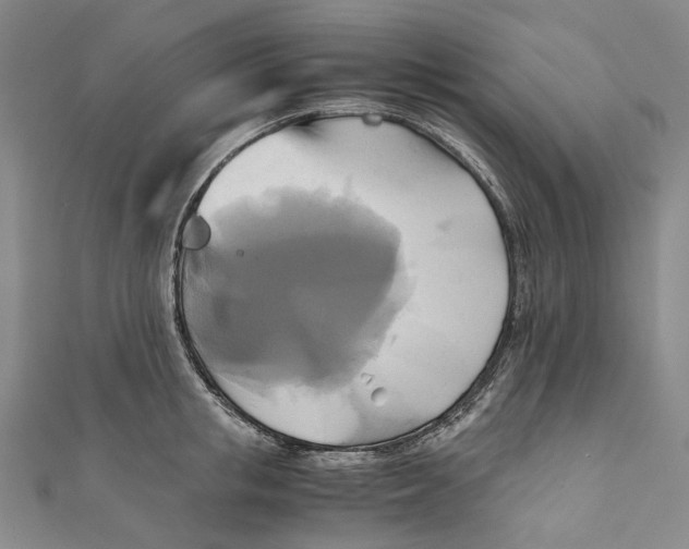 X0000110970853200907101347