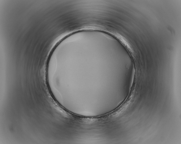 X0000110970854200907101347