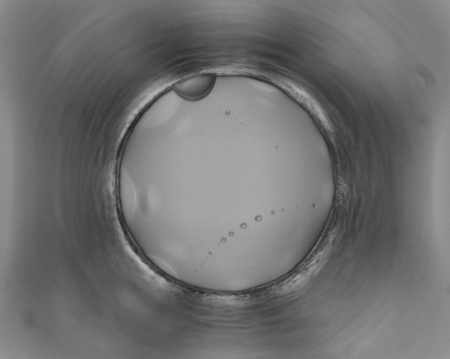 X0000110970855200907101347