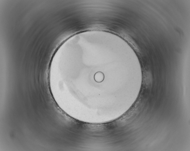 X0000110970856200907101347