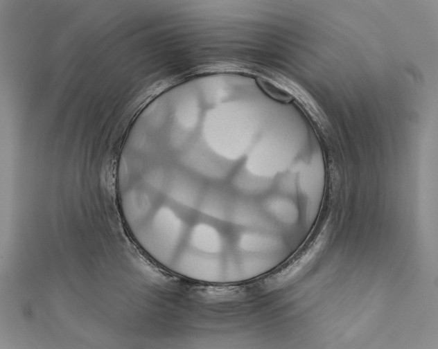 X0000110970857200907101347