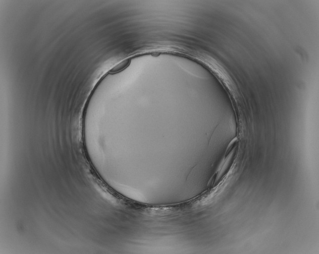 X0000110970858200907101347