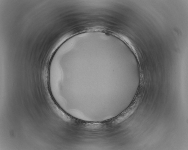 X0000110970859200907101347