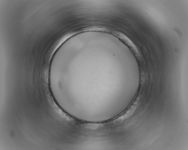 X0000110970860200907101347