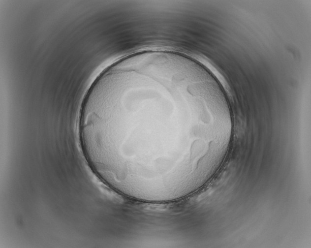 X0000110970861200907101347