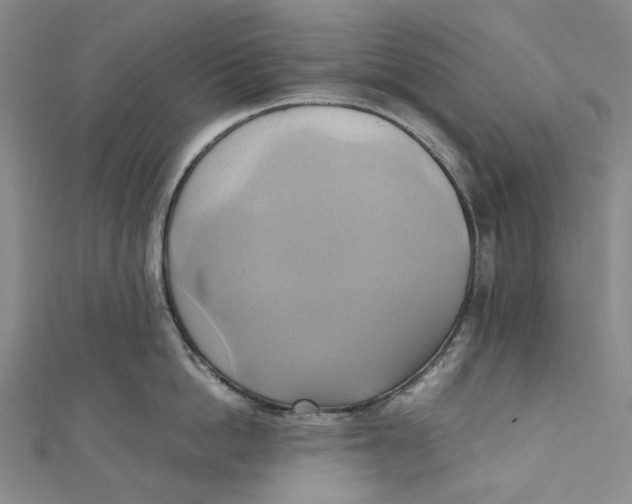 X0000110970862200907101347