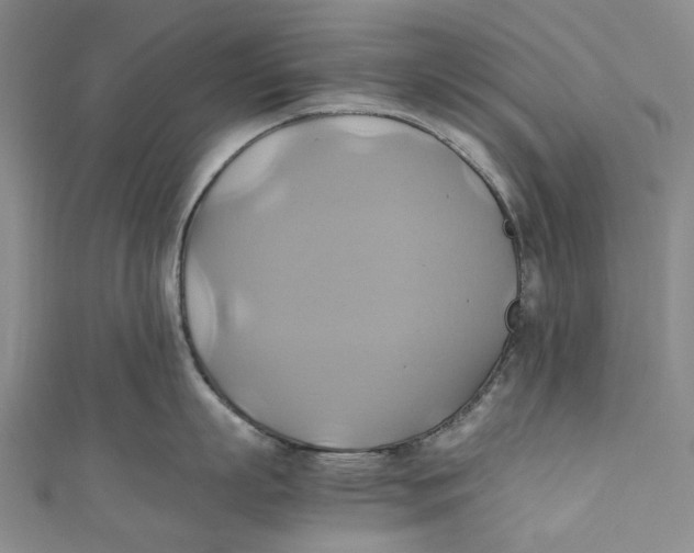 X0000110970863200907101347