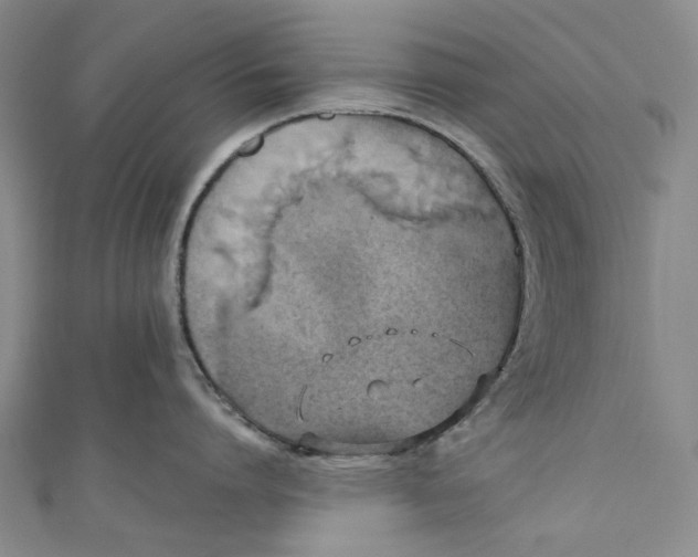 X0000110970864200907101347