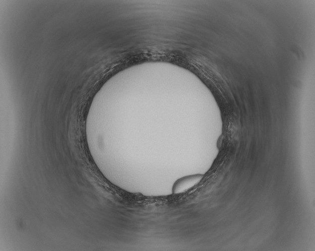 X0000110970865200907101347