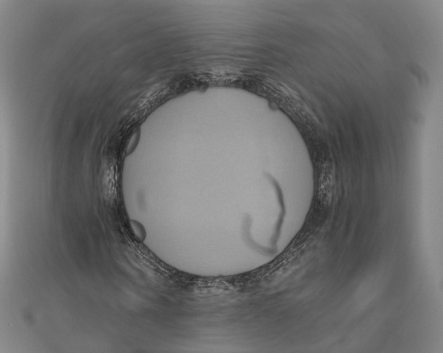 X0000110970866200907101347