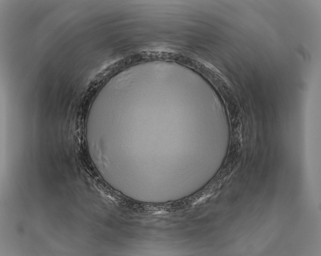 X0000110970870200907101347