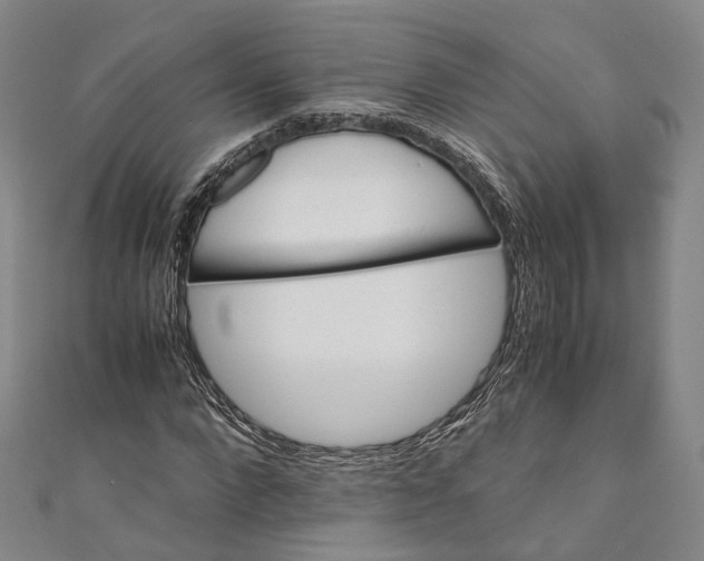 X0000110970872200907101347