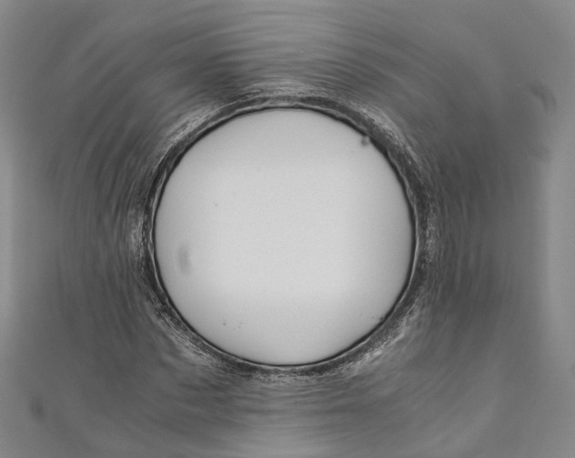 X0000110970873200907101347