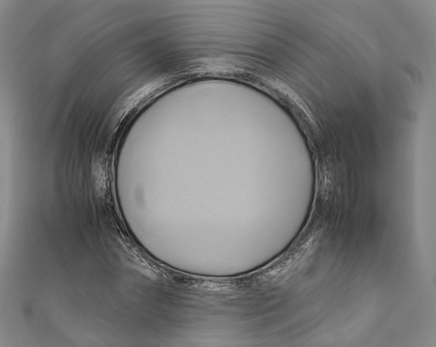 X0000110970874200907101347