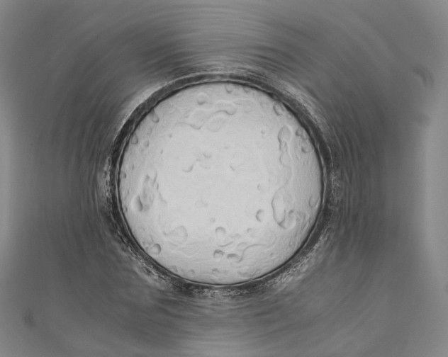 X0000110970875200907101347