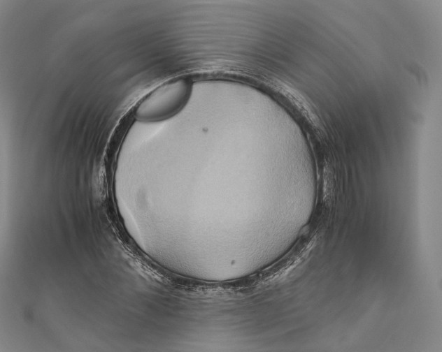 X0000110970876200907101346